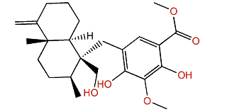 19-Hydroxypolyfibrospongol B